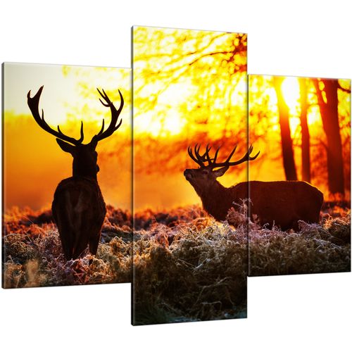 Fotoobraz 90X70 Rykowisko na Arena.pl