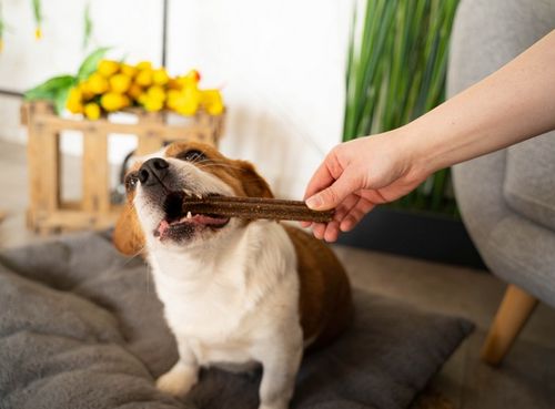 Dentystyczny przysmak dla psa do mycia zębów - Josera Drób i Jagody 180g na Arena.pl