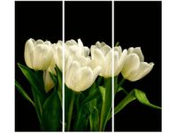 product-compare-58703064