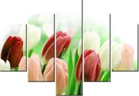 70 100CM OBRAZ 5 ELEM CZERWONE TULIPANY DRUK PŁÓTNO