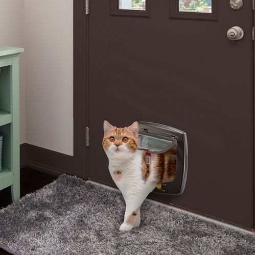 Brązowe drzwiczki dla kotów ze zbliżeniowym kluczem magnetycznym - Swing 7 na Arena.pl