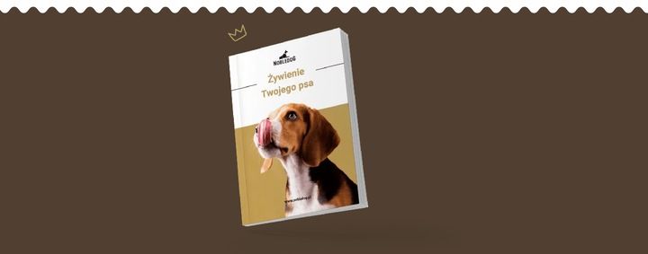 MISKI NA STOJAKU dla psa DUŻEGO STOJAK DREWNIANY bufet 2x 1,8 L + treserki zdjęcie 5