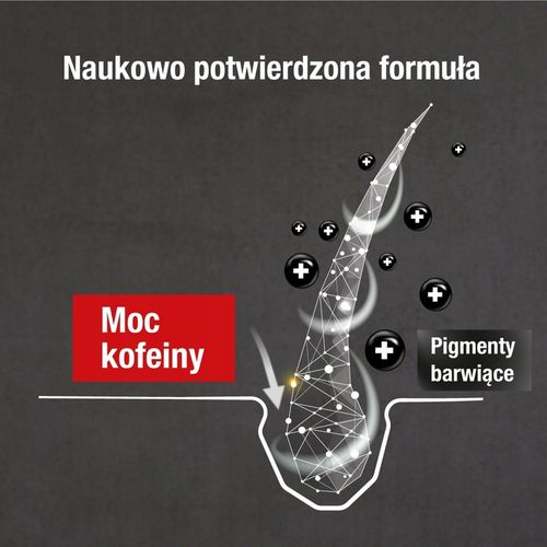 Alpecin Grey Attack Szampon Koloryzujący Męski Przeciw Siwieniu, 200ml na Arena.pl