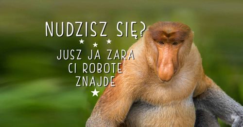 Kubek z nosaczem Ja Ci zara robote znajde - 330 ml - biały na Arena.pl