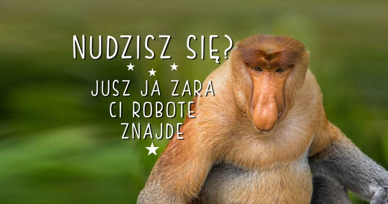 Kubek z nosaczem Ja Ci zara robote znajde - 330 ml - biały zdjęcie 2