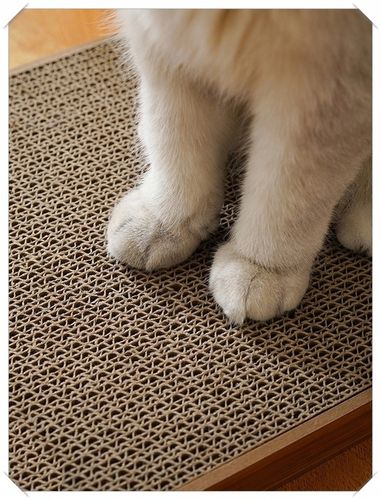 Drapak Narożny Dla Kota Kotów Zabawka z Piłką na Arena.pl