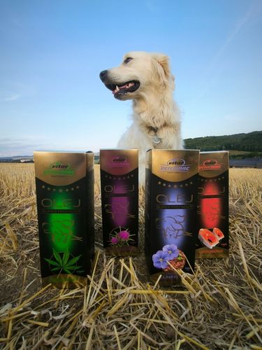 VITAR Veterinae Olej Lniany 500 ml - lśniąca sierść + doskonałe źródło na Arena.pl