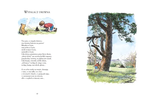 Mamy już sześć lat na Arena.pl