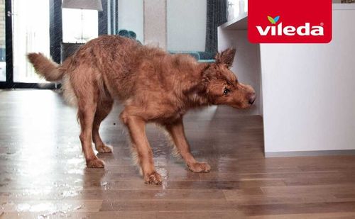 vileda pet pro ręcznik z mikrofibry xl na Arena.pl