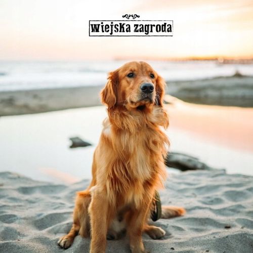 Wiejska Zagroda Karma sucha dla psa WOŁOWINA INDYK WARZYWA Duże rasy L 9kg na Arena.pl