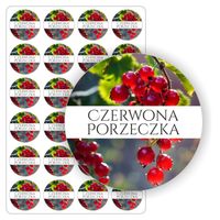 NAKLEJKI porzeczkowy kolorowe CZERWONA PORZECZKA słoik dżem sok 24szt.