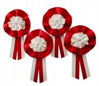 Kotyliony narodowe rozetka 2 patriotyczne 11 listopada przypinki 4 szt