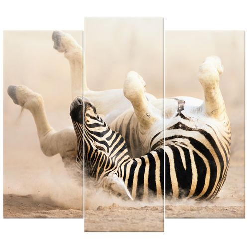 Obraz Tryptyk 90X80 Zebra Paski Zebry na Arena.pl