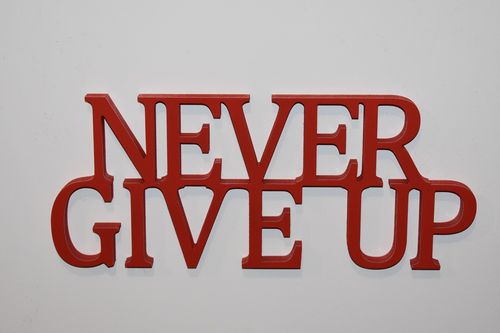 Napis 3D Never give up na Arena.pl
