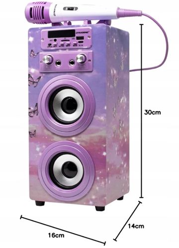 DYNASONIC BLUETOOTH KARAOKE Z MIKROFONEM GŁOŚNIK PREZENT DLA DZIECKA na Arena.pl