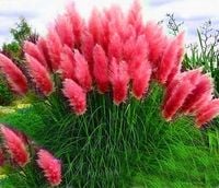 product-compare-63015987