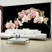 product-compare-63626005