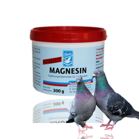 Magnesin - zwiększa siłę mięsni 300g