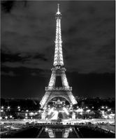 60CM 50CM OBRAZ ŚCIENNY WIEŻA EIFFLA BLACKANDWHITE DRUK PŁÓTNO