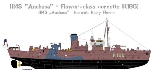 Model do Sklejania Statek HMS "Anchusa" na Arena.pl
