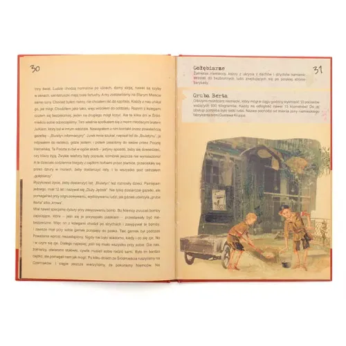 Powstaniec Halicz na Arena.pl