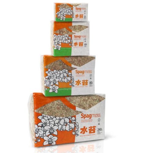 Mech Sphagnum Torfowiec BESGROW SpagMoss 150g 12L Mech Spagnum Podłoże na Arena.pl