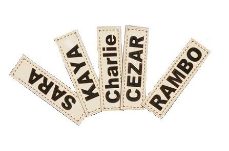 Legowisko dla psa kojec KINGDOG 55x45 cm personalizowane wodoodporne czarne zdjęcie 15