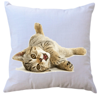 Poduszka Koty