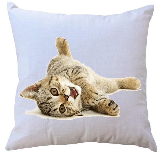 Poduszka Koty zdjęcie 1