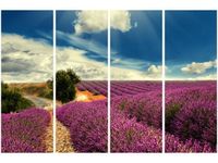 120CM 80 OBRAZ 4 ELEM LAWENDOWY KRAJOBRAZ ŚCIENNY