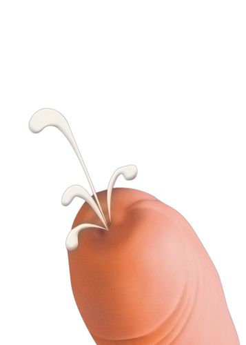 penis z wytryskiem super realistyczne dildo 21cm na Arena.pl