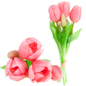 Tulipan Gumowany Bukiet X5 Rozowe