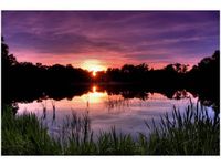 120CM 80CM OBRAZ ŚCIENNY ZACHÓD SŁOŃCA WŚRÓD TRZCIN