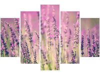 product-compare-58696628