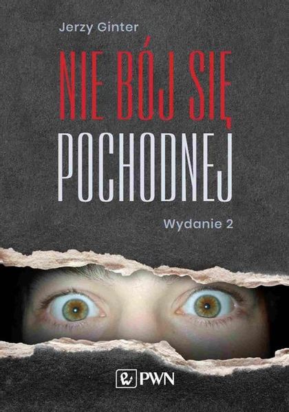 (epub, mobi) Nie bój się pochodnej zdjęcie 1