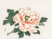 Plakat 100x75cm Pink Rose,  Kōno Bairei Japoński Vintage do Salonu