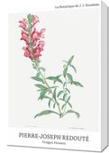 Obraz 40x60cm Design Dragon Flowers, Redoute Vintage do Salonu