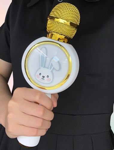 BEZPRZEWODOWY MIKROFON KARAOKE BUNNY KRÓLIK na Arena.pl