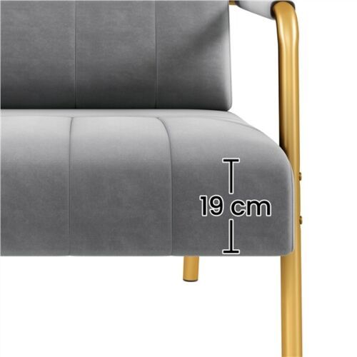 Sofa tapicerowana do salonu szara złota rama dwuosobowa z poduszkami na Arena.pl