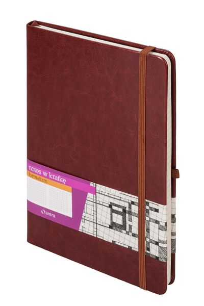 NOTES FORMALIZM A4 KRATKA 192K BRĄZ ANTRA zdjęcie 1