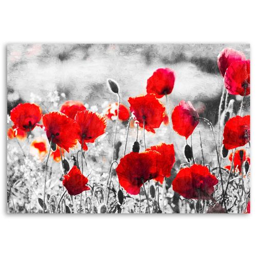 OBRAZ NA PŁÓTNIE Czerwone Maki Kwiat Natura na Arena.pl