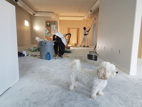 RADIO BUDOWLANE KUCHENNE 230V BLUETOOTH PRZENOŚNE ANTENA USB SD NA BATERIE na Arena.pl