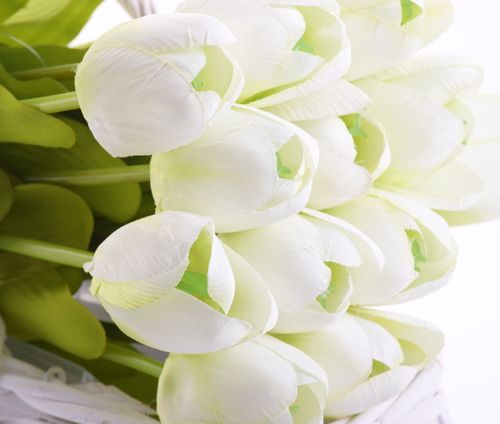 Tulipan 55cm biały na Arena.pl