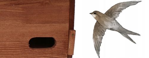 Budka lęgowa dla jerzyka impregnowana typ Jerzyk na Arena.pl