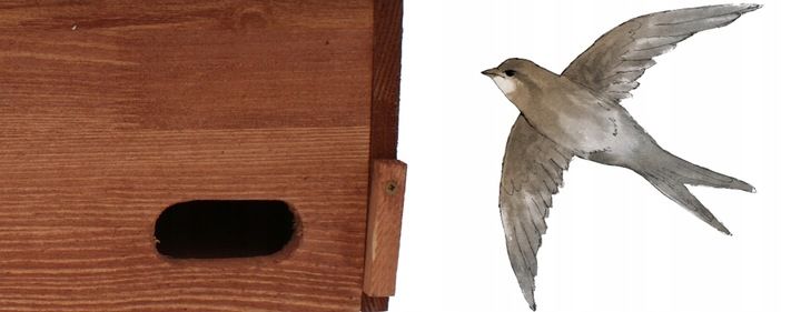 Budka lęgowa dla jerzyka impregnowana typ Jerzyk zdjęcie 7