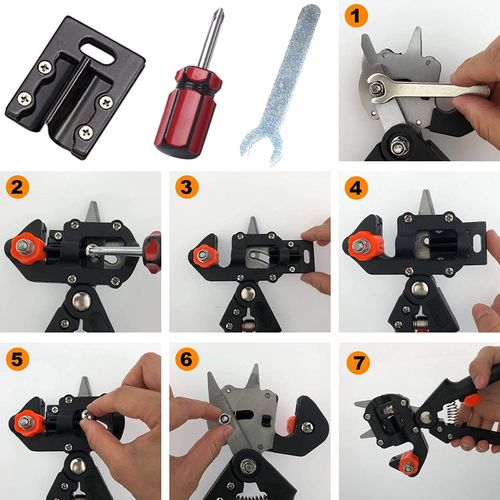 SEKATOR BLISTER NR:7031 na Arena.pl