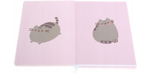 notes pluszowy a5/96k pusheen 2080 na Arena.pl