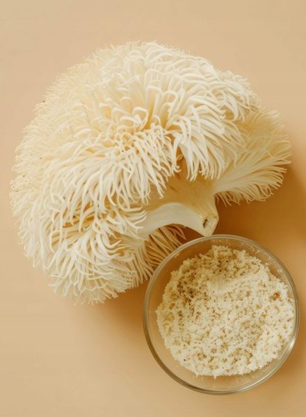 PROTON LABS Lion's Mane 555 mg 90 kaps Soplówka Jeżowata DER 10:1 50% 30% zdjęcie 3