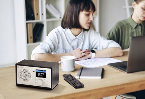 Radio Internetowe Bluetooth DLNA Akumulator WLAN na Arena.pl