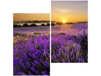 60X60CM POLE LAWENDY DWU OBRAZ ŚCIAN
